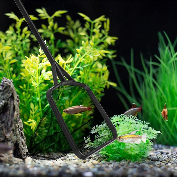 Functional Aquariums Square Fishing Net with Long Handle for Catching Fish Shrimp Tanks Aquariums Tool