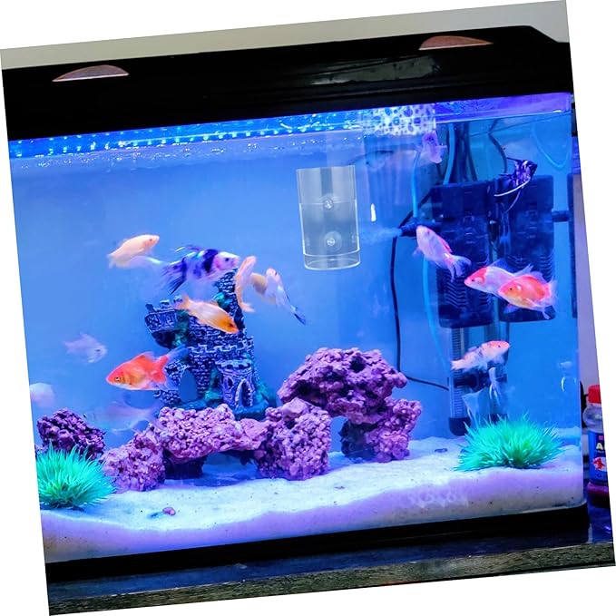 Happyyami Acrylic Fish Feeder Dish Strong Suction Cup Automatic Aquarium Feeding for Fish Shrimp and Snails Durable and User-Friendly Design