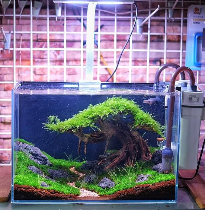 Bonsai Driftwood Aquarium Tree on Lava Rocks for Aquarium Decor Fish Tank Decorations (8in H x 10in L x 5in W) Handcrafted Natural Fish Tank Decor, Balances pH,Tds