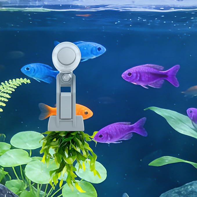 Magnetic Seaweed Feeder Clip, Automatic Fish Feeder with Algae Magnet Clip, Fish Tank Accessories for Fish and Aquatic Pets, Automatic Fish Feeder.