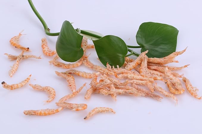 Premium Freeze-Dried Krill & Shrimp Mix - Ideal for Arowana, Koi, Tropical Cichlids, and Turtles - High-Protein Floating Aquarium Food (3000ml)