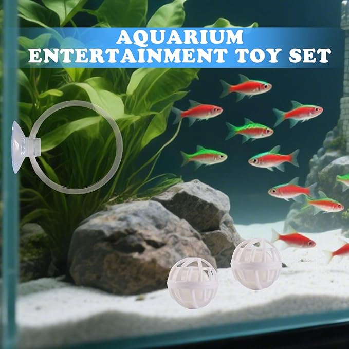 Betta Fish Toys, 2 PCS Fish Exercise Ring and Nitrifying Balls Set, Betta Mirror Toy Set, Feeding Ring with Suction Cup, Fishing Tank Accessories for Gifts (Clear)