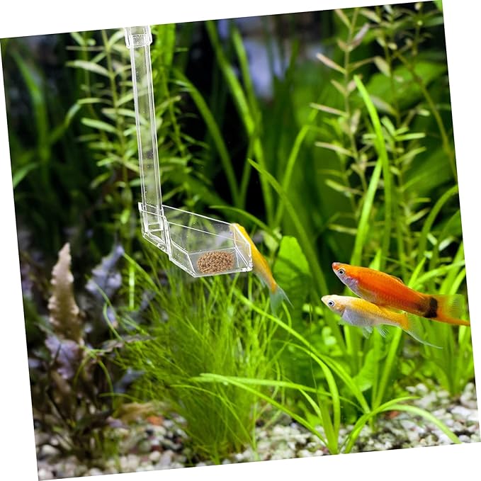 VANZACK Shrimp Aquarium Fish Feeder Acrylic Automatic Feeding Device for Fish Tanks Easy to Install and Clean Compact Design for Freshwater and Aquariums