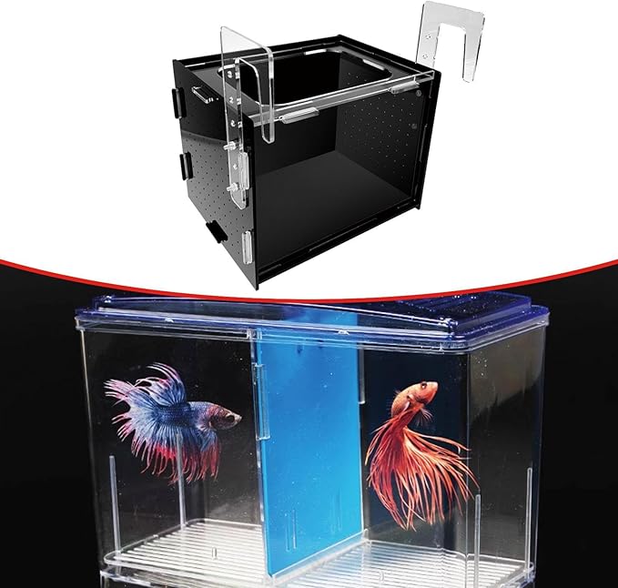 Fish Breeder Box Isolation Box Transparent Separator Easy Installation Hatchery Incubator for Baby Fish Betta Guppy, 30x20x20cm