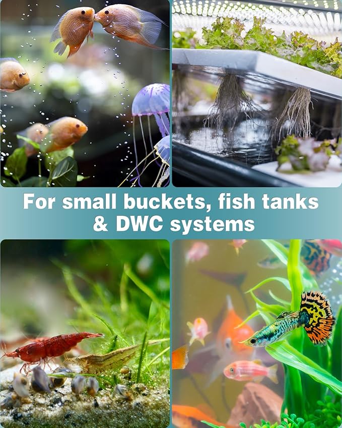 Pawfly Aquarium 1.2 Inch Air Stone Ball Bubble Diffuser Release Tool for Air Pumps Fish Tanks Small Buckets and Koi Ponds, 6 Pack
