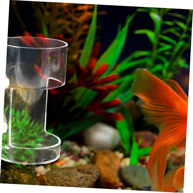 Fish Feeding for Aquariums Clear Floating Circle Cup Efficiently Distributes Food for Freshwater Tanks Fish Feeding Supplies