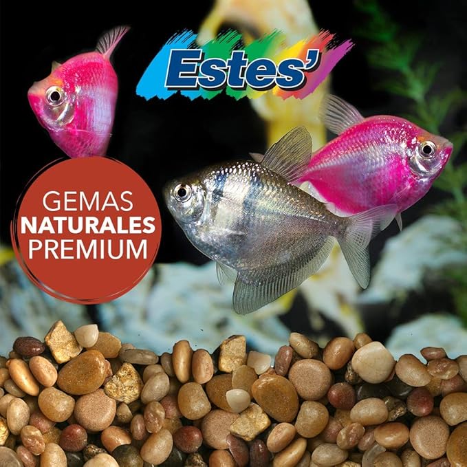 Stoney River Jumbo Gems Natural for Freshwater Aquariums, 5-Pound Bag