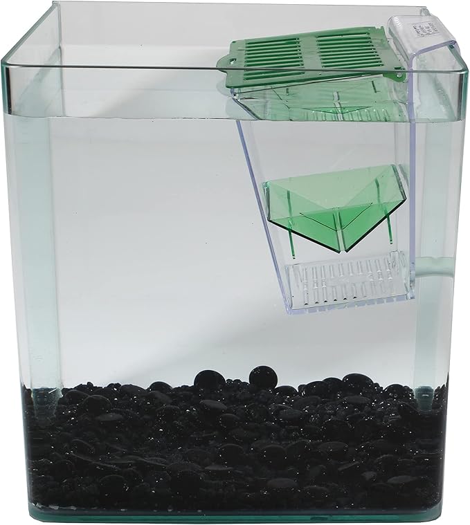 Penn-Plax Breed and Show Nursery Fish Tank