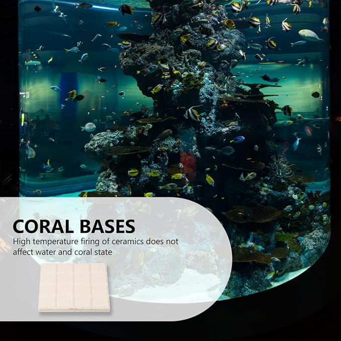 Ipetboom Frag Disks Coral Frag Plugs Support Bases for Fish Tank Aquarium Ceramic Coral Mount Plates 1.96In Square Aquarium Accessories
