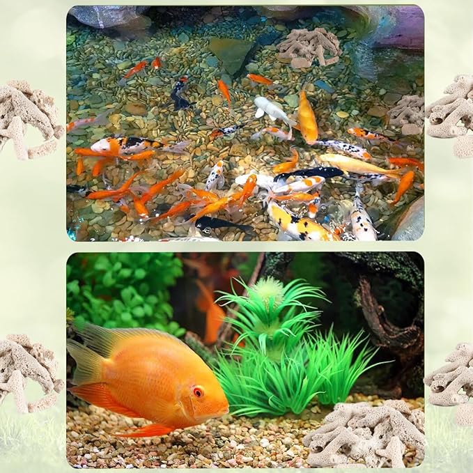 Fish Tank Filter Crushed Coral for Freshwater Aquarium, Material Pond Filter Media to stabilize Raise ph in Freshwater Fish Tank Filter Medi Reusable Crushed corrals (500g/1.1lb)