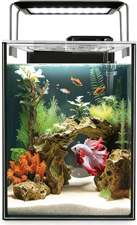Glass Aquarium Starter Kits 1.5 Gallon Small Fish Tank, Betta Fish Tank for Home Office Deco, with LED Light, Power Filter, 4mm Glass, Black