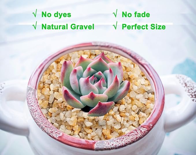 1/8 inch-1/5 inch Coarse Silica Sand Stones, Boniosz 5lb Succulent and Cactus Bonsai Rocks Small Decorative Pebbles for Terrariums, Fairy Gardening, Top Dressing, and Houseplants