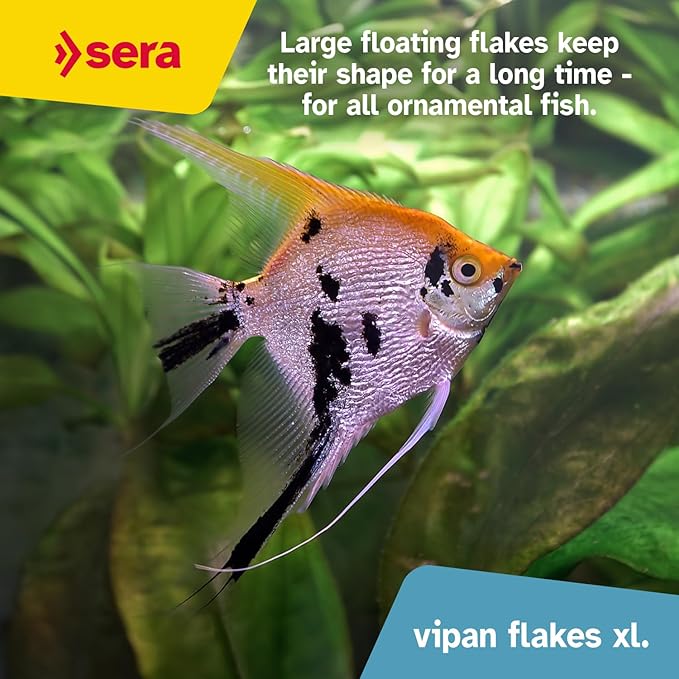 sera Vipan Tropical Flakes XL 7.4 oz. I Premium XL Staple Food for Ornamental Fish | Insect Meal & Prebiotic Effect | Free from Colorants and Preservatives | Perfect for Surface Feeders