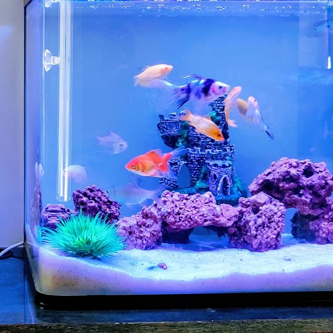 VALICLUD Shrimp Aquarium Feeder Tube with Glass 40cm and Feeding Box, Aquarium Fish Tank Accessory for Automatic Feeding of Aquatic Pets