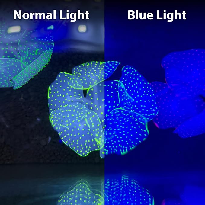 CTWPets Glowing Artificial Coral Aquarium Decoration – Starlight Feather Silicone Ornament – UV & Blue Light Reactive Fish Tank Decor (Glowing Pink)
