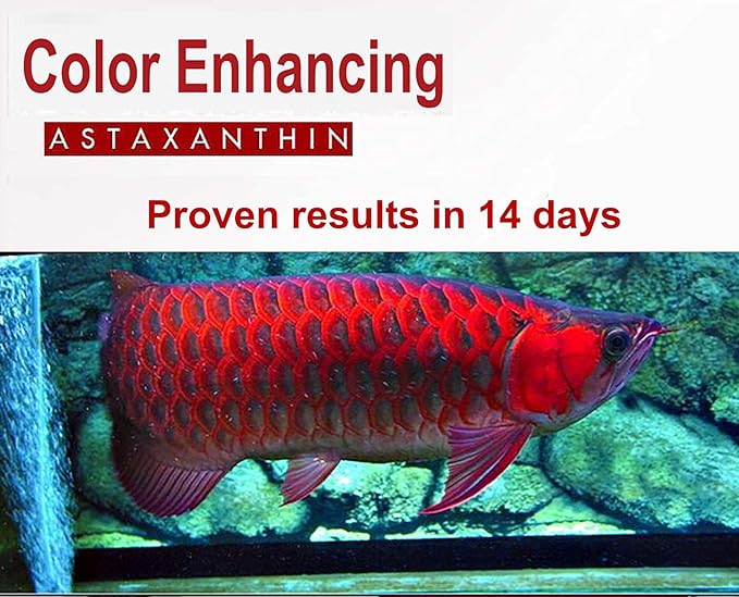 HULX Astaxanthin Red Color Enhancing Powder All Type Fishes Tropical Fish Goldfish KOI Baby Fry Fish Guppy Betta Small Fish Use Mix Fish Food Granular Flake Sinking Floating Pellets 0.06 Lb. (30 g.)
