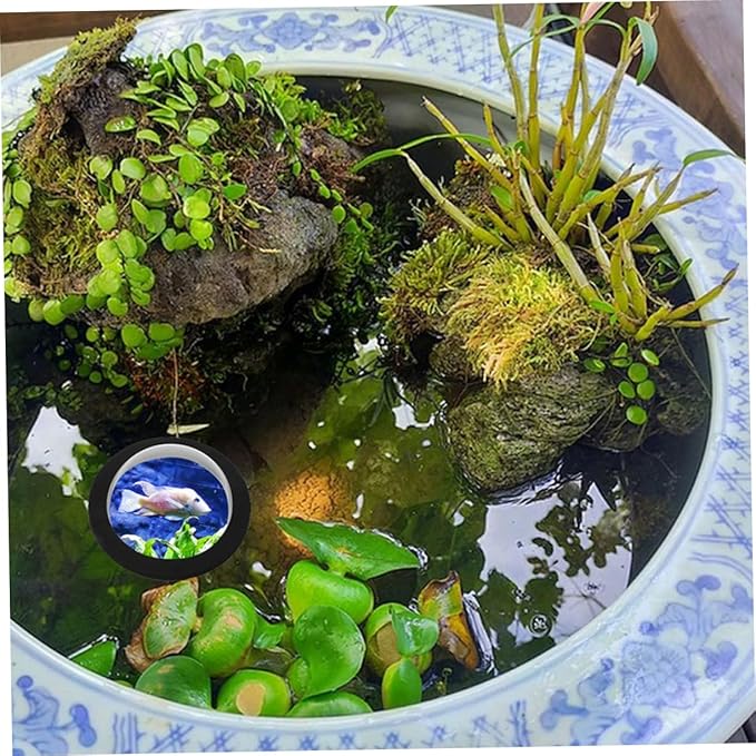 LIOOBO 2Pcs Clear Acrylic Floating Fish Dome for Garden Outdoor Fish Sanctuary Cover Easy Installation for Observation and Relaxation