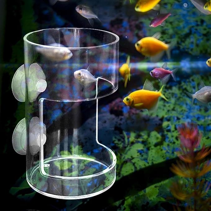 Rubbish Fish Feeder