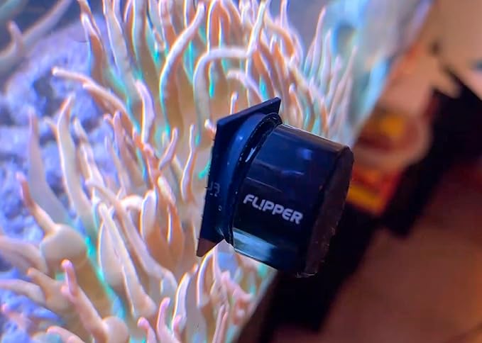Flipper Pico 2 in 1 Magnetic Scrubber Scraper Aquarium Fish Tank Cleaner Replacement Blades - 4 Pack