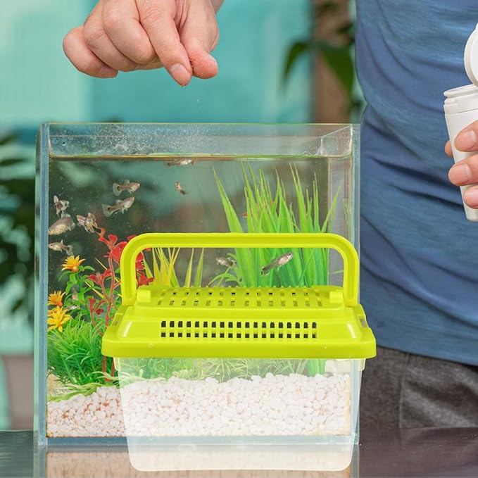 Toddmomy Handheld Transparent Aquarium Portable Plastic Aquarium with Lid for Turtles, Hamsters, and Small Pets (Random Color Lid)