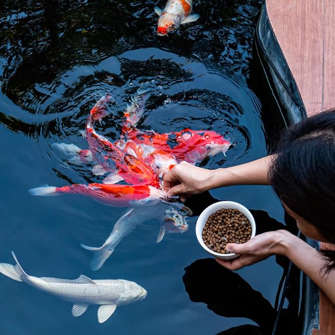 Fisher's Aquatics Koi Fish Food - 2.0 lb Small 3mm Floating Pellets, Koi & Goldfish Food for Ponds, All Seasons
