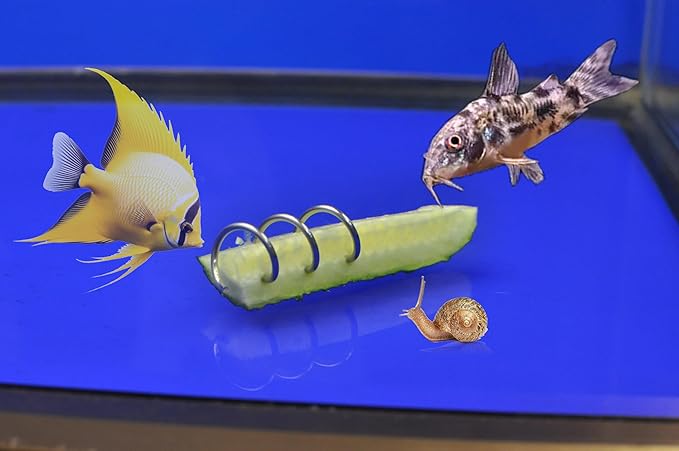Vegetable Feeder for Aquarium, Suitable for Bottom Feeding Fish/Malawi Cichlids/Przewalski's Catfish/Clown loaches/Snails, etc., submerged Design, 3 Packs