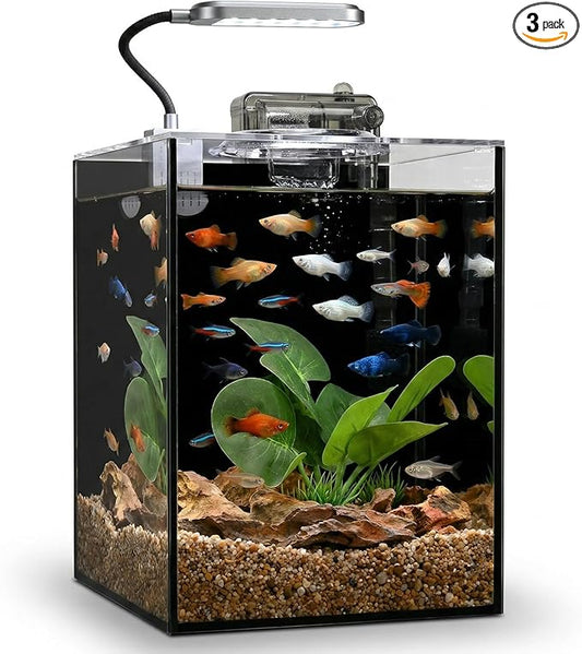 2.2 Gallon Betta Fish Tank, Small Aquarium Kit,Glass Small Fish Tank,Betta Fish Tank with a lid and Light and Filter, Small Transparent Glass Fish Tank with Light and Filter(Black Glass Background)