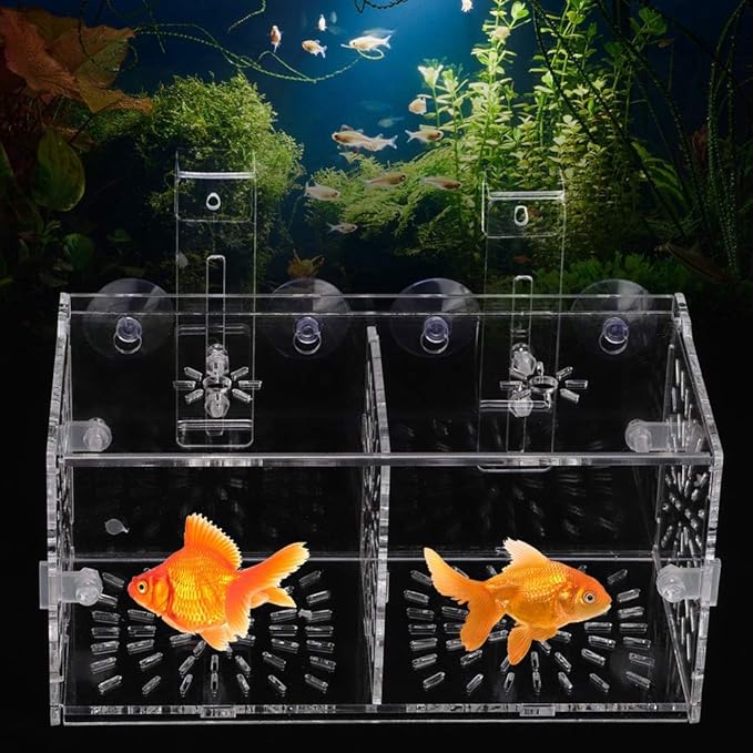 Rosvola Fish Isolation Box, Fish Breeding Incubator Holder Transparent Aquarium Hatchery Fish Tank Isolation Box (20Cm10Cm10Cm)