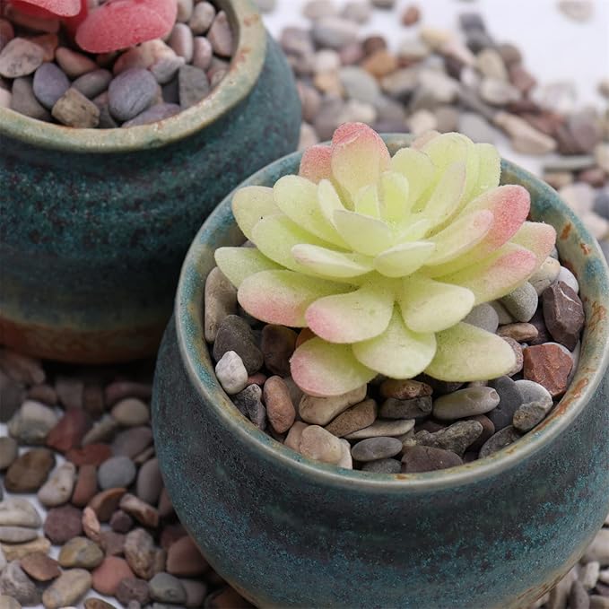 Rocks for Plants. Mixed Black/Earth Tones Color Pebbles. 1/5 Inch – 10 lbs for Garden, Crafting, Succulents, pots, Plants (Mini (0.2 Inch), Mixed Color - Black, 10)
