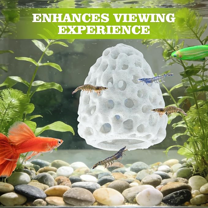 Shrimp Dome Hide, Shrimp Hides for Aquarium, Betta Fish Hideout with Suction Cup, Betta Habitat Tank Ornament Accessories, Aquarium Decor for Small Fish Guppy Hiding Resting (White)