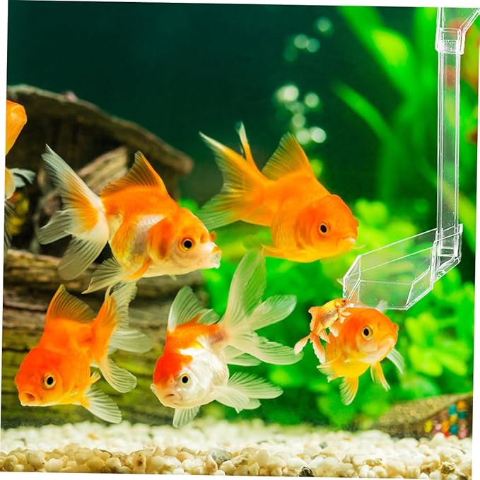 KALLORY Acrylic Aquarium Fish Feeder Tube 28cm Shrimp Feeding Dish Tray Fish Tank Accessories for Automatic Feeding in Aquariums