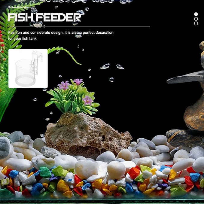Aquarium Fish Feed Ring with Hook Acrylic Fish Tank Feeder Circle Large Size for Automatic Feeding in Home and Office