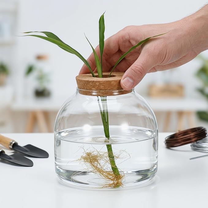 POPETPOP Glass Terrarium with Cork Lid - Glass Fish Tank Plant Terrarium, Tabletop Succulent Planter Aquarium for Hydroponic Plant & Small Fish - for Home, Office Decor