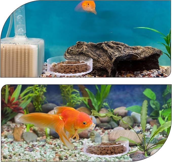 2 Pcs Shrimp Feeding Dish, Aquarium Feeding Dish, Fish Tank Feeder Dishes, Clear Aquarium Shrimp Feeders Bowl Freshwater Tray Feeder, 60mm/80mm