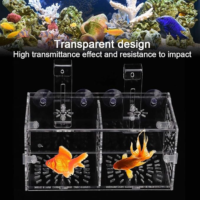 Rosvola Fish Isolation Box, Fish Breeding Incubator Holder Transparent Aquarium Hatchery Fish Tank Isolation Box (20Cm10Cm10Cm)