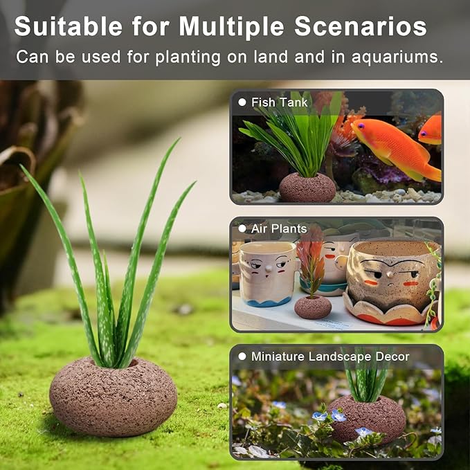 Stone Plant Weights for Aquarium Natural Rock Decorative 6 Pcs Fish Tank Landscape Plant Weights