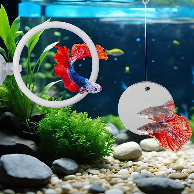 Beta Fish Aquariums Accessories, 1 Fish Mirror with Floating Ball & 2 Exercise Training Ring Toys, Fish Feeding Ring, Betta Fish Toys Set for Tank, Enrichment Toys for Fish