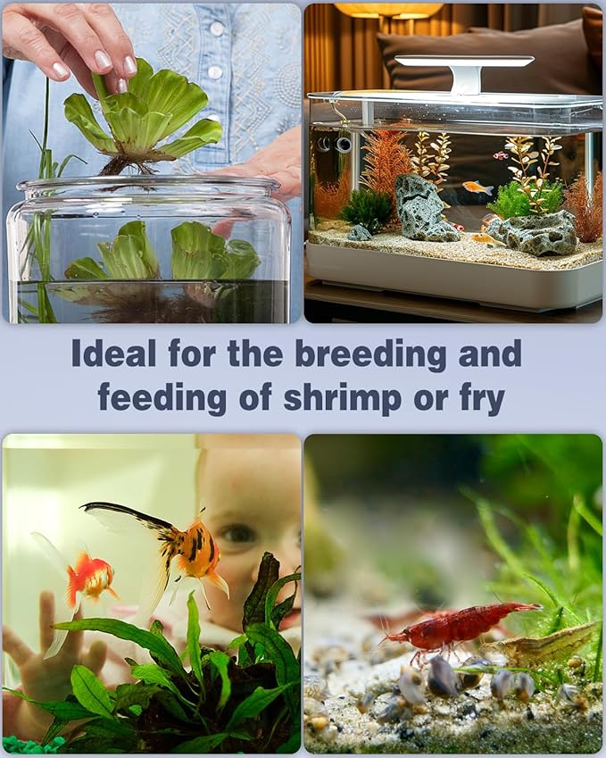Pawfly Mini Aquarium Sponge Filter, Small Fish Tank Internal Filter with Foam and Air Stone Submersible Bio Sponge Filter for Fish Tanks up to 5 Gallon (Air Pump Not Included)