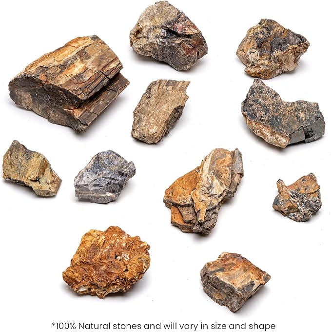 SubstrateSource Natural Stone for Aquarium, Terrarium, Paludarium, Reptile Enclosures - Set of Decorative Rocks for Landcapes, Aquascaping, Fish Tank Decor (Petrified Wood Stone, 20 Pounds, 2-7")