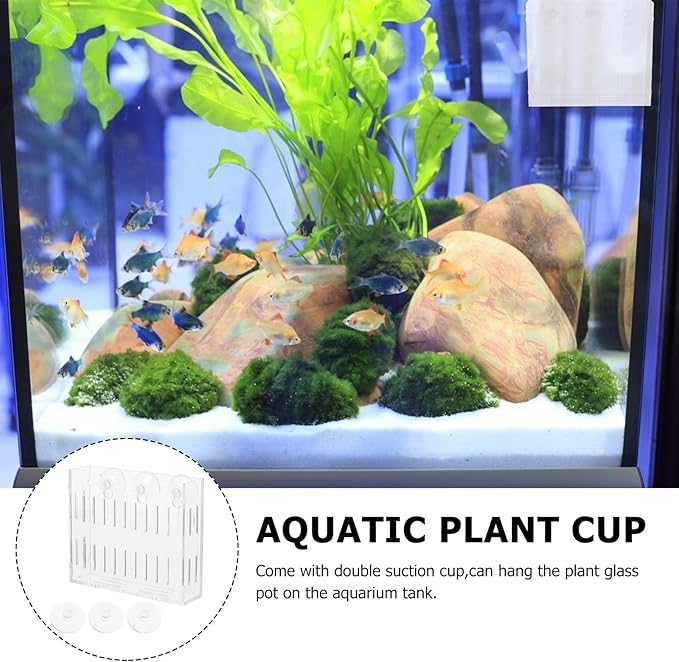 Mipcase Aquarium Plant Holder Clear Acrylic Fish Tank Frame with Double Suction Cups for Live Aquatic Plants Small Water Plants 3.93X3.34X2.95In Aquarium Accessories