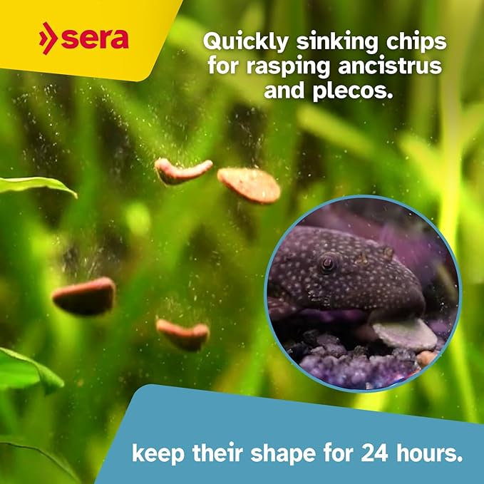 Sera Pleco Chips 13.4 oz./0.84lbs | Premium Fish Food for Ancistrus & Plecos | High Fiber | No Dyes & Preservatives | Supports Digestion & Promotes Healthy Growth | Ideal for Bottom Feeders