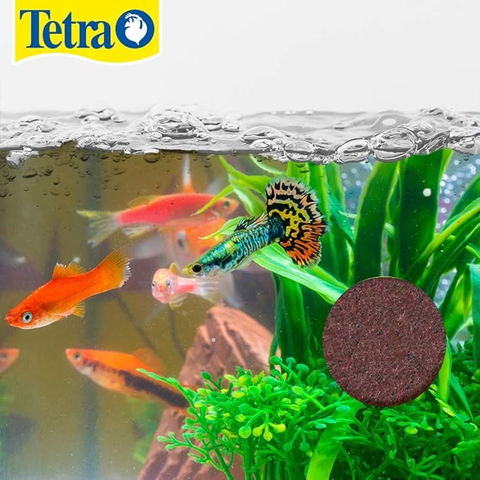 Tetra Fish Food for Tropical Fish, 0.85 Ounce | Weekend Vacation Feeder | Slow-Release | Pack of 2