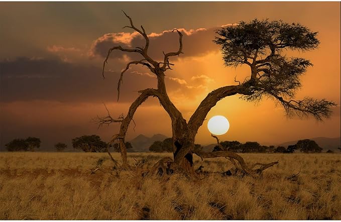 Sunset Desert Reptile Tank Background Beautiful Sunrise Desert Old Tree Terrarium Background Sand Peaks Dunes Sunset Over Desert Reptile Habitat Background Sunset Desert Aquarium Background 36x24in