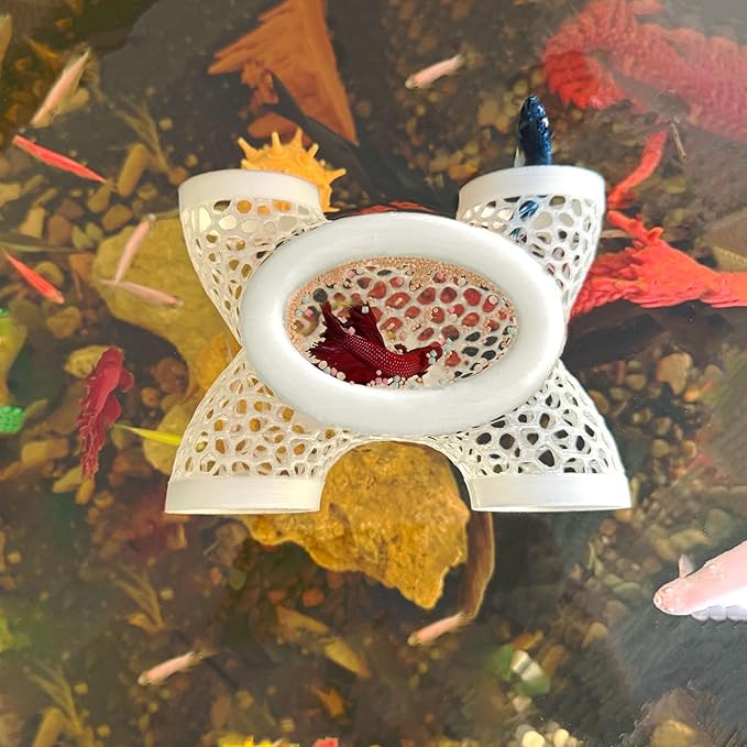 Aquarium Floating Betta Fish Log, Hide Tunnel and Hammock Toy, Small Fish Or Shrimp Hide Resting Cave, Floating Feeder, Feeding Ring, Tank Accessories Decoration (Translucent)
