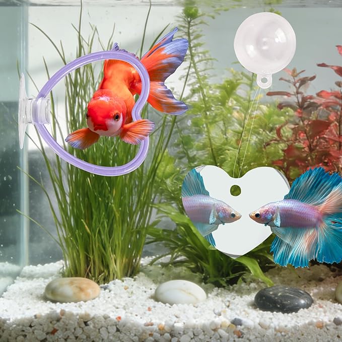 Betta Fish Toys, 2 PCS Heart Fish Exercise Ring and Nitrifying Balls Set, Heart Betta Mirror Toy Set, Feeding Ring with Suction Cup, Fishing Tank Accessories for Gifts (Purple)