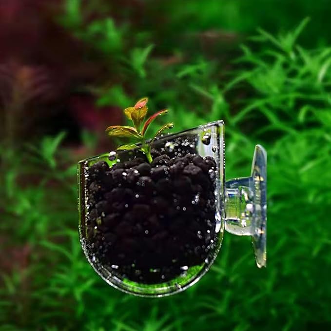 10 Pcs Aquarium Plant Holder, Clear Fish Tank Plant Holder for Aquascape Decoration, Red Worm Feeder, Aquarium Planter Pot with Suction Cup, Betta Fish Tank Accessories Aquariums Decor