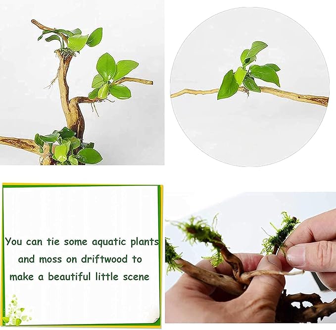 kathson Aquarium Driftwood Reptile Branches Wood Natural Spiderwood Driftwood for Aquarium 7-8" 5 Pcs Terrarium Ornament Trunk Fish Tank Log Habitat Decoration Tree Stump Decor Assorted Sizes Wood