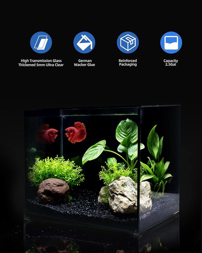 2.5 Gallon Clear Glass Fish Tank, Small Fish Tank Aquarium for Betta, Goldfish, Snail,Shrimp and Aquatic Planting