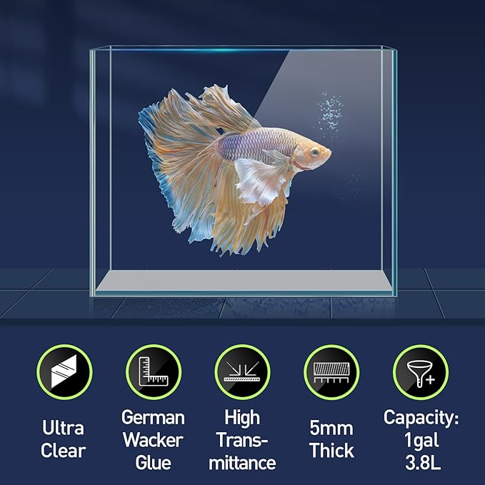 LAQUAL 1 Gallon Fish Tank Starter Kit with Fish Net, 1 Water Changer Siphons & 2 Cleaning Cloth, Crystal Clear Glass Fish Tank, Small Fish Tank/Aquarium for Betta & Goldfish, Nice Home Décor