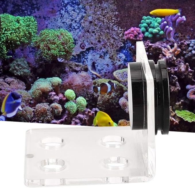 Fish Acrylic Bracket Base, Aquarium Rack Bracket Transparent Bracket Holder Frag Plugs Rack Suction Cup(4Holes)